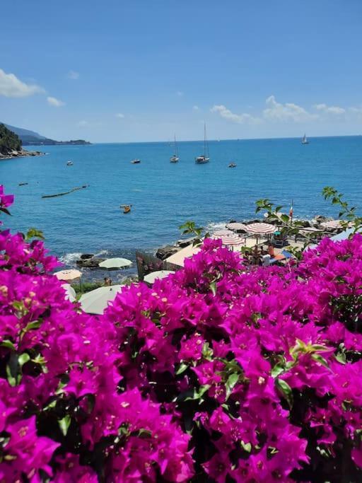 Апартаменты La Terrazza Sul Golfo Dei Poeti Con Vista Mare Pitelli Экстерьер фото